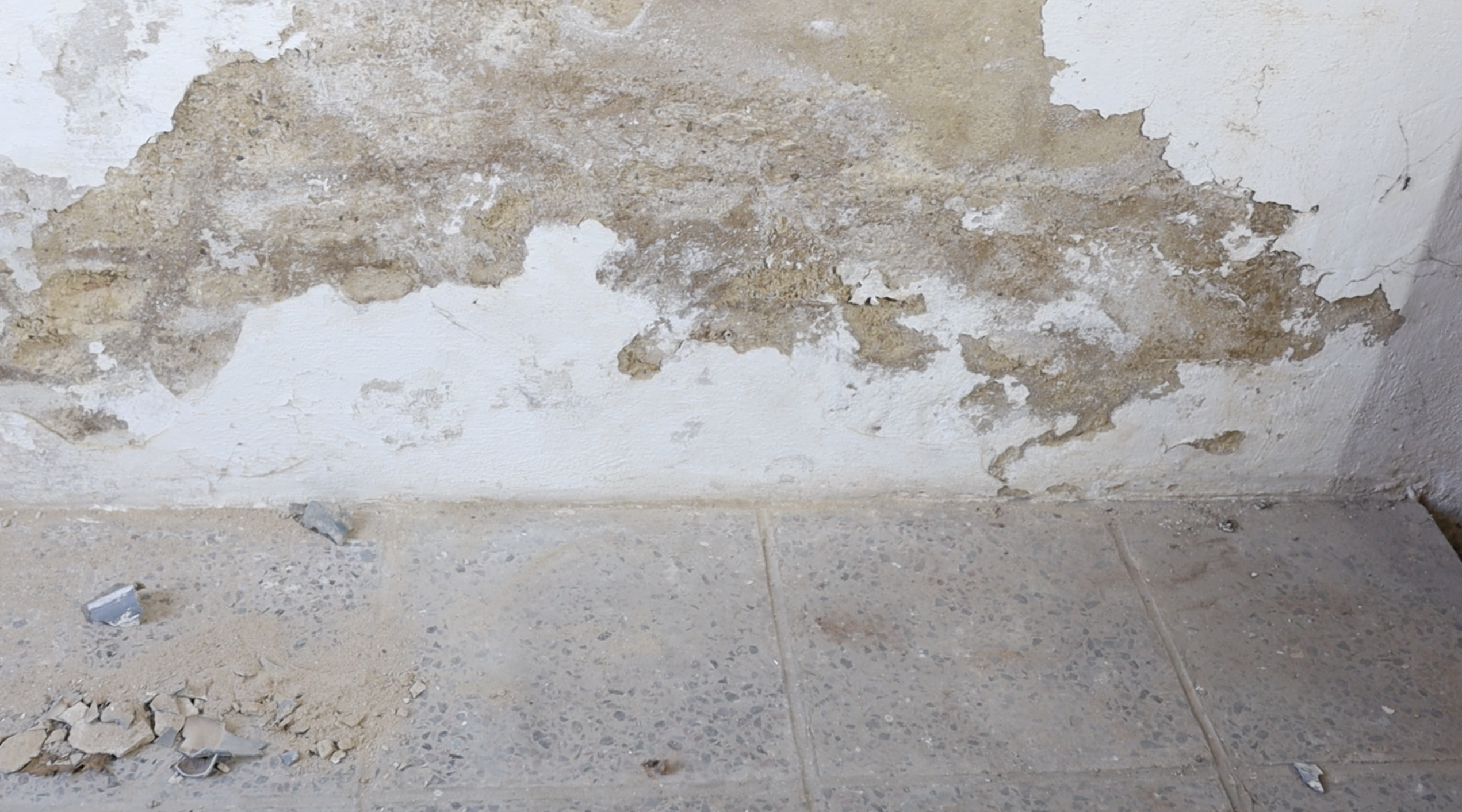 Feuchte Wand mit Schimmelbildung und abplatzendem Putz vor Sanierung mit BTF MAUERFIX